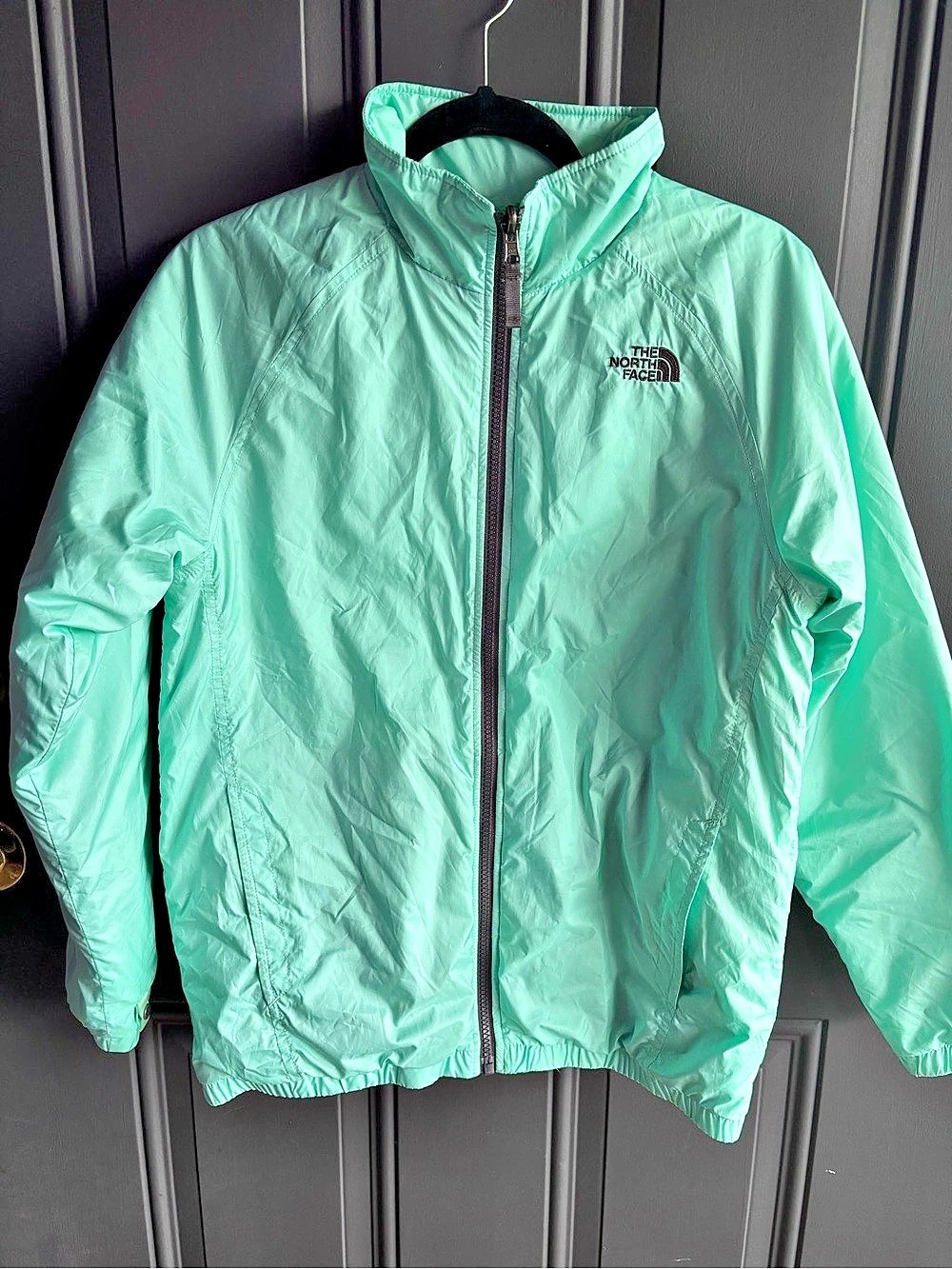 The North Face Girls Blue Winter Jacket Size XL (18) Like New